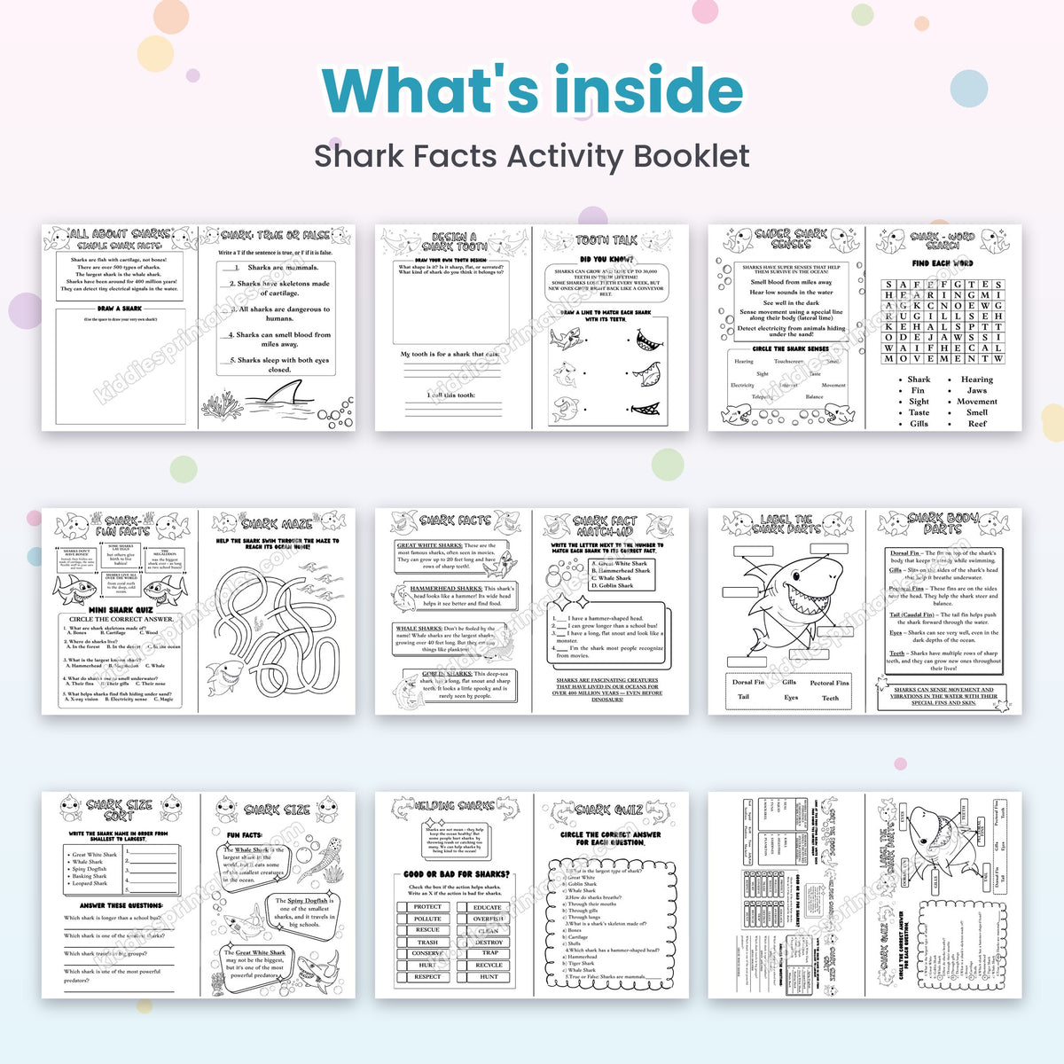 Shark Facts Activity Booklet printable – inside pages preview