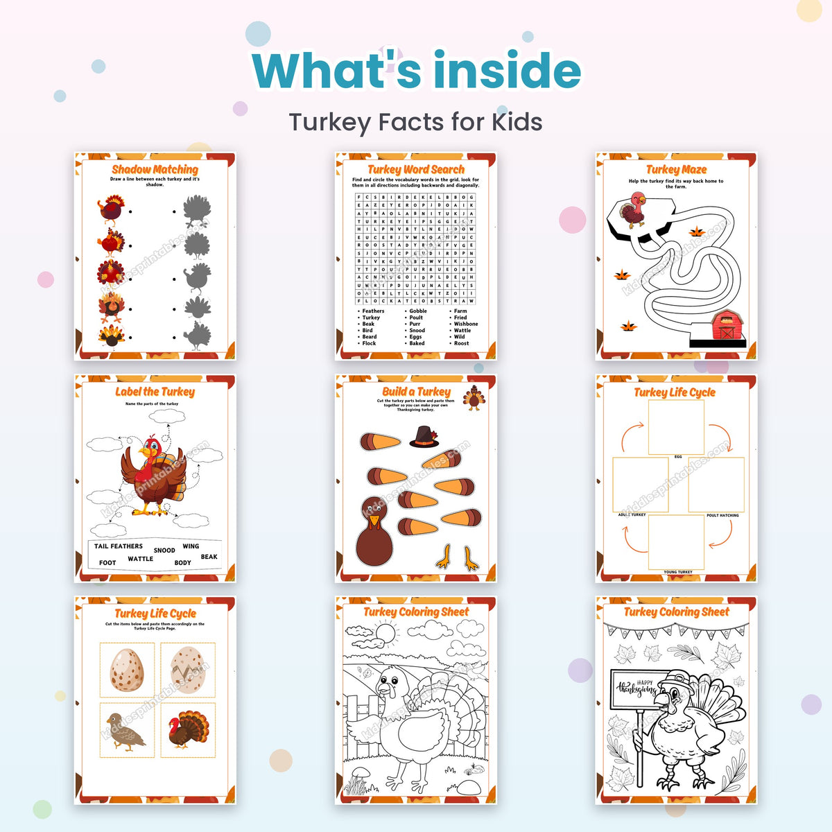 Inside pages of Turkey Facts for Kids
