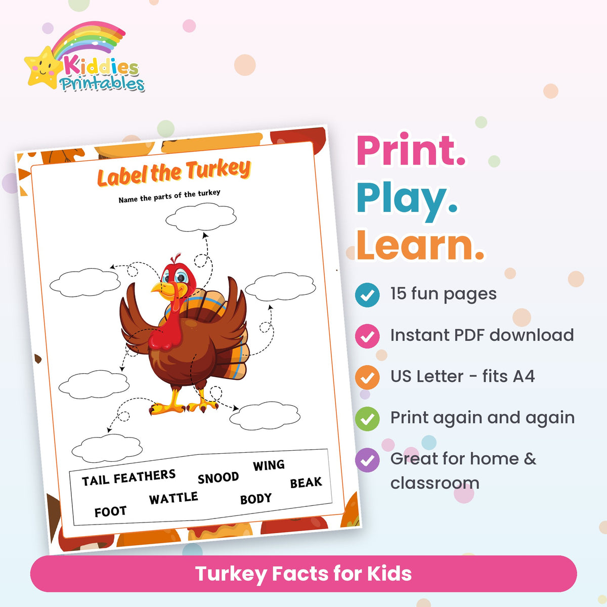 Turkey Facts for Kids features