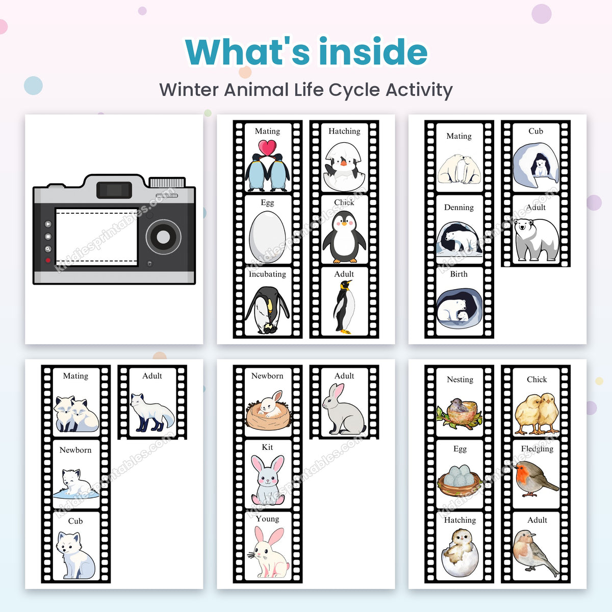 Winter Animal Life Cycle Activity printable – inside pages preview