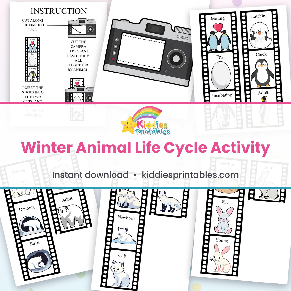 Winter Animal Life Cycle Activity printable – page collage