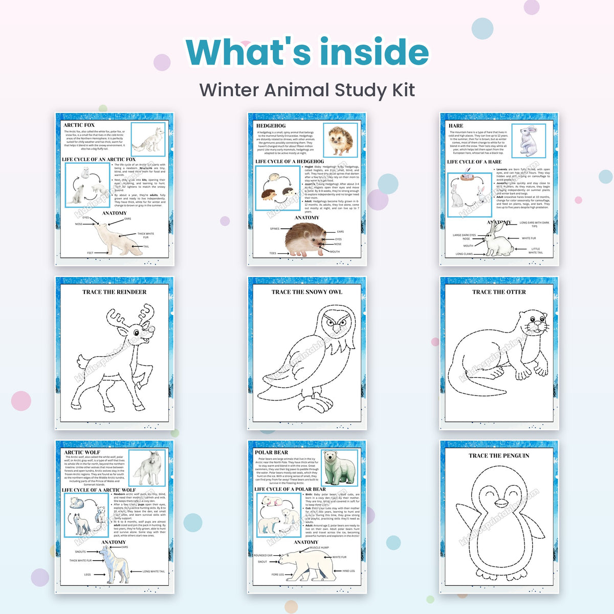 Winter Animal Study Kit printable – inside pages preview