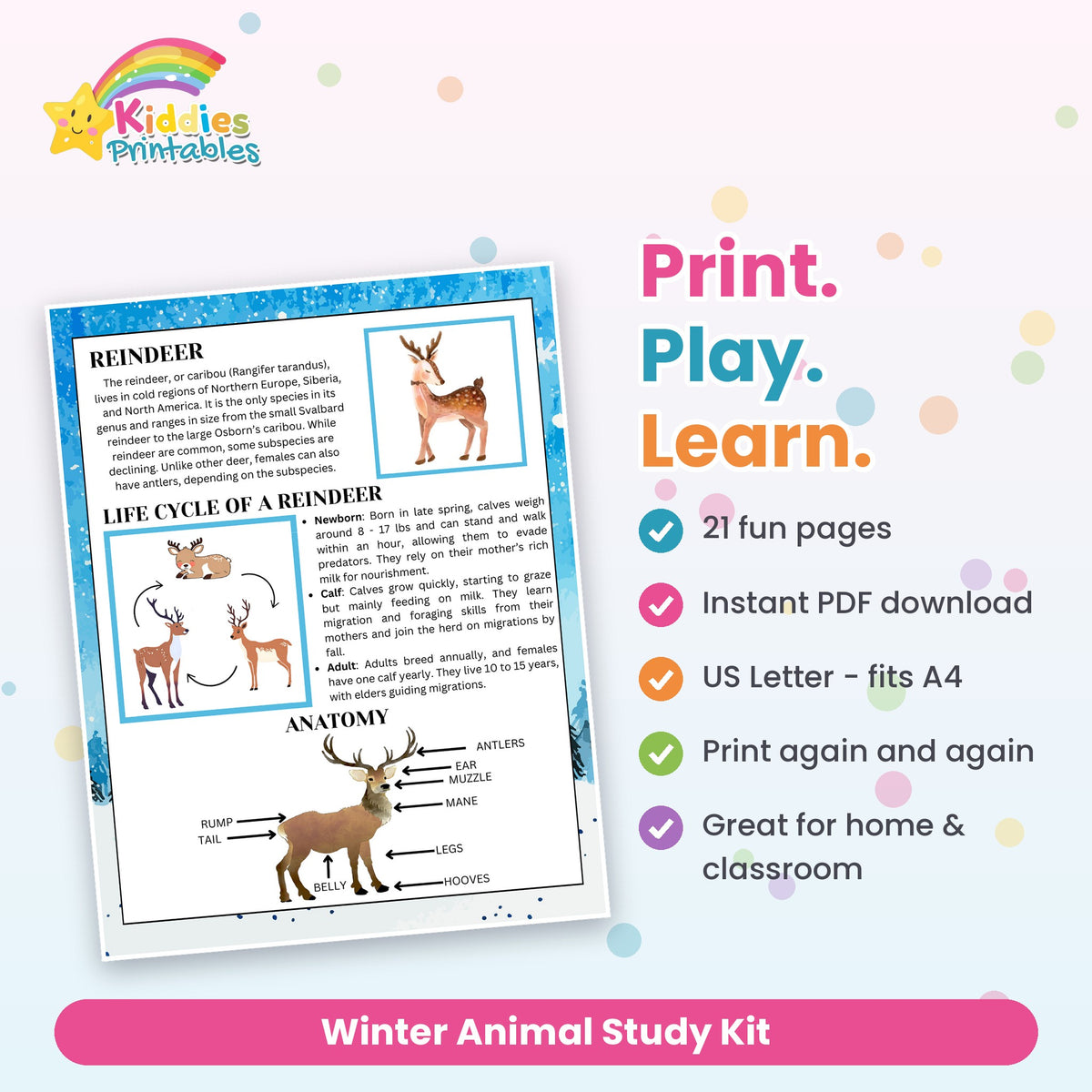 Winter Animal Study Kit printable – what's included